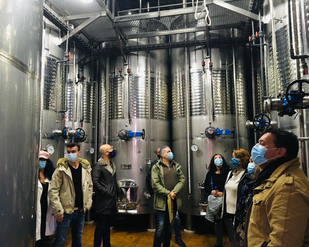 RUTA DE ENOTURISMO Y CULTURAL EN NAVALCARNERO CON CATA DE VINOS