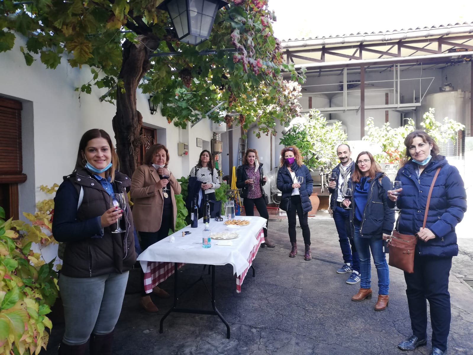 RUTA DE ENOTURISMO Y CULTURAL EN NAVALCARNERO CON CATA DE VINOS